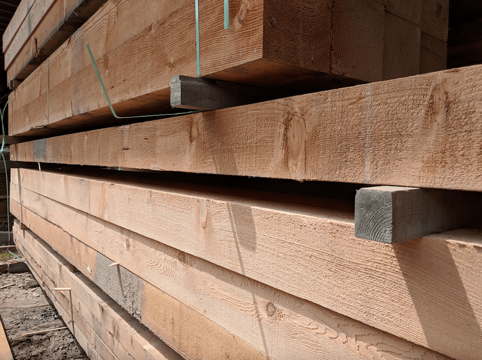 Hardwood Vs Softwood - Reliance Timber's 2022 Guide