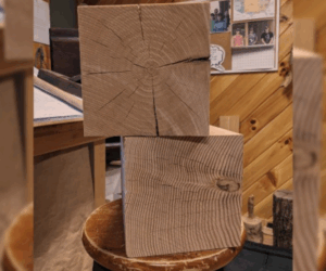 Why You Should Consider Eastern White Pine vs Douglas Fir