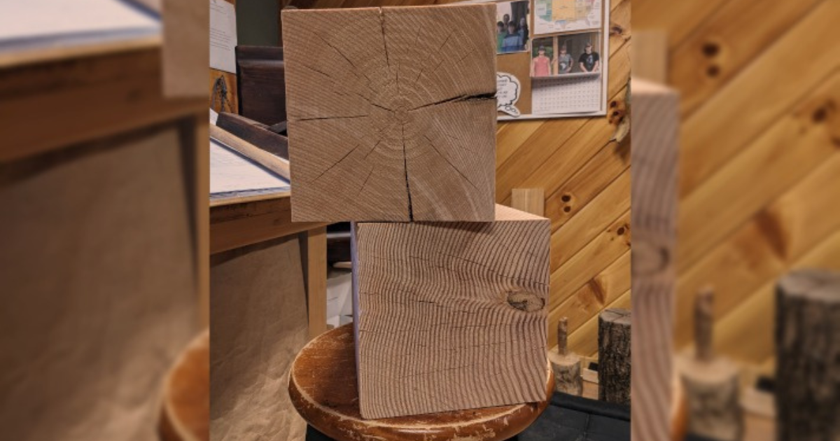 Why You Should Consider Eastern White Pine vs Douglas Fir